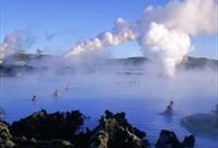 Whale Watching and The Blue Lagoon